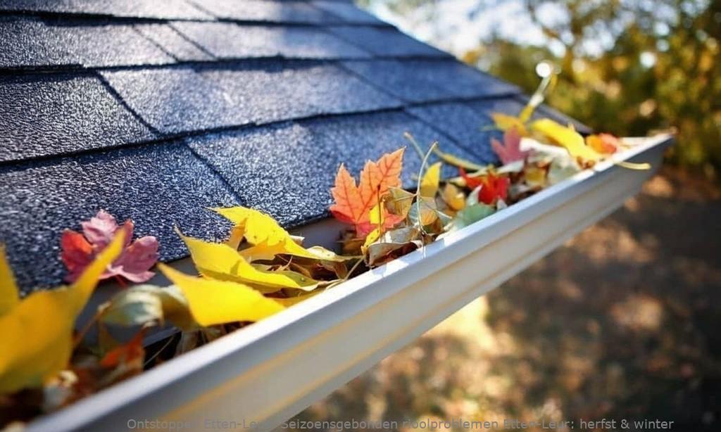 Seizoensgebonden rioolproblemen Etten-Leur: herfst & winter