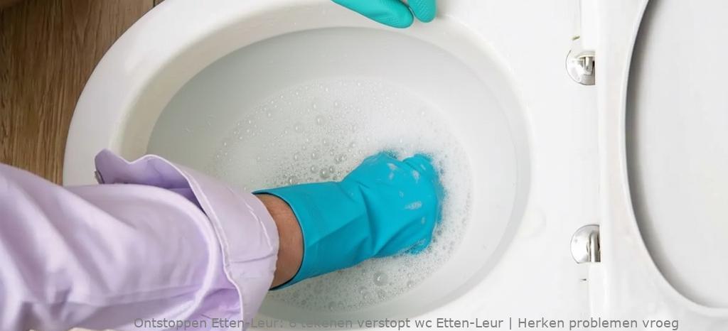 6 tekenen verstopt wc Etten-Leur | Herken problemen vroeg